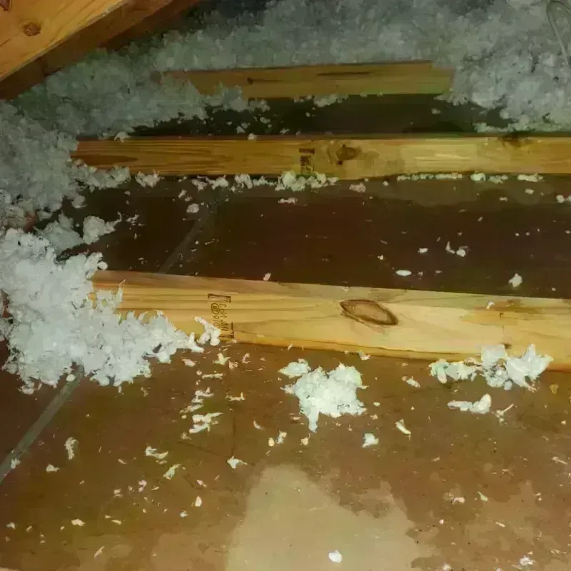 Attic Water Damage in Pepeekeo, HI